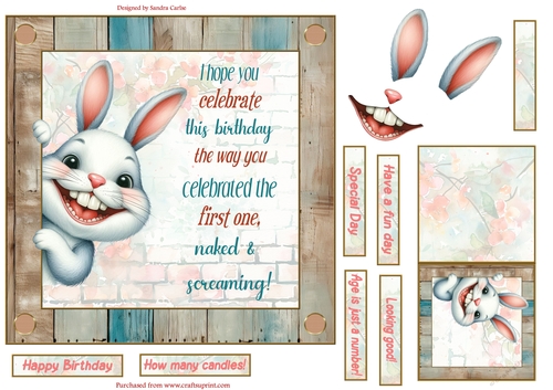 Fun rabbit 7x7ins decoupage topper