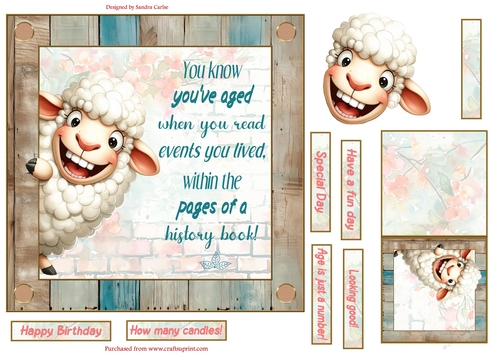 Fun sheep 7x7ins decoupage topper