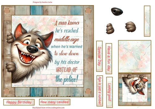 Fun wolf 7x7ins decoupage topper