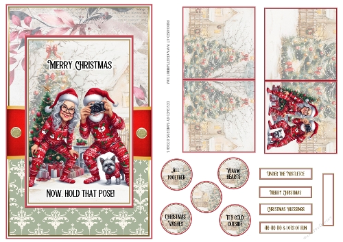 Hold that pose A5 Christmas sentiment topper with gift tag 