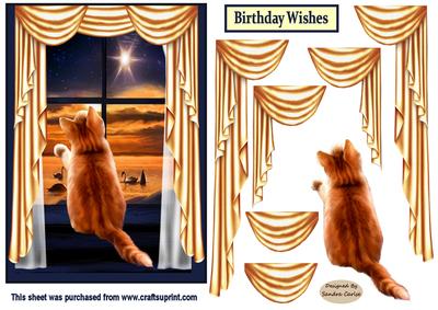 A cute Ginger Cat at the Window Card Front