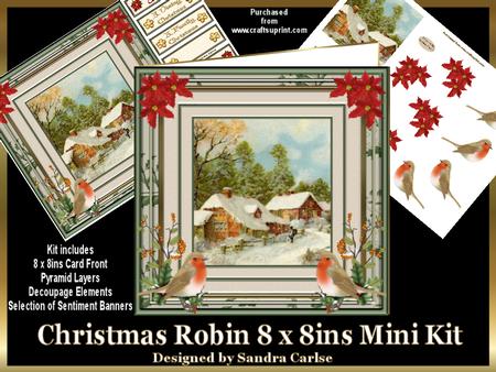 Christmas Robin 8 x 8ins Mini Kit