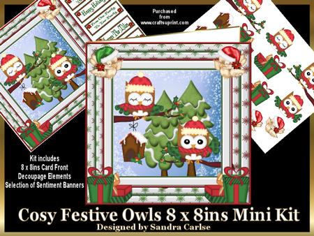 Christmas Cosy Festive Owls 8 x 8ins Mini Kit