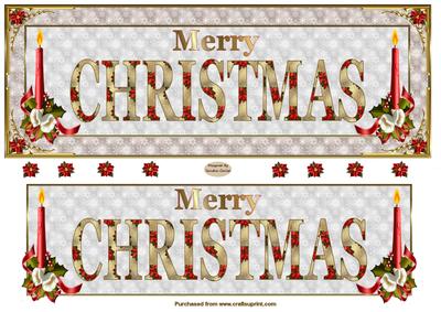 Merry Christmas Dl Card Front