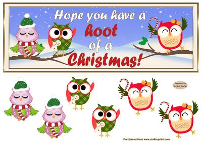 Have a 'hoot' of a Christmas Dl Card Front