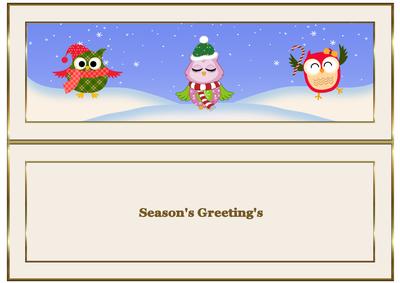 Have a 'hoot' of a Christmas Dl Insert