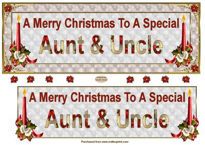 Aunt & Uncle Christmas Dl Card Front