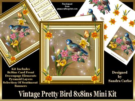 Vintage Pretty Bird 8 x 8ins Mini Kit