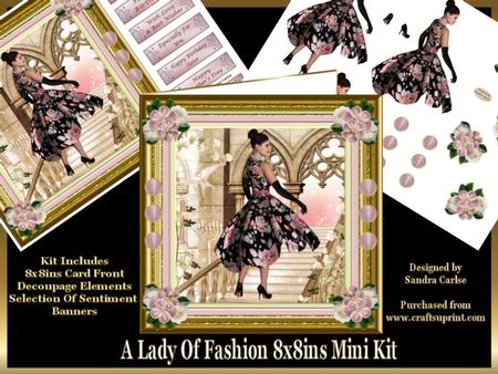 A Lady of Fashion 8x8ins Mini Kit