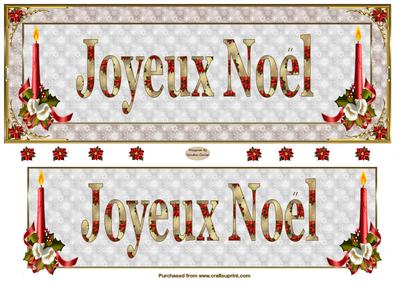 Joyeux Noel Large Dl Card Front