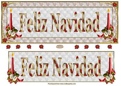 Feliz Navidad Large Dl Card Front