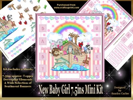 New Baby Girl 7.5ins Mini Kit