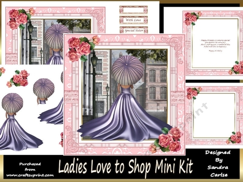 Ladies Love to Shop 2 Mini Kit