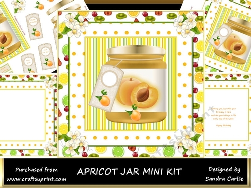 Pretty Apricot Decoupage Topper Mini Kit