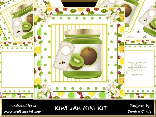 Pretty Kiwi Fruit Decoupage Topper Mini Kit