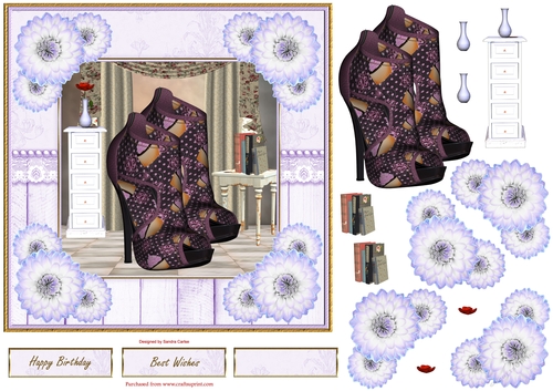 Fashion Shoes Topper