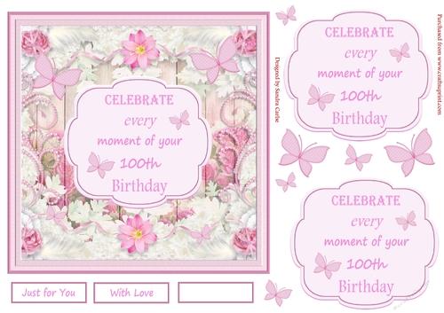 Decoupage 100th Birthday 3D Quick Card 