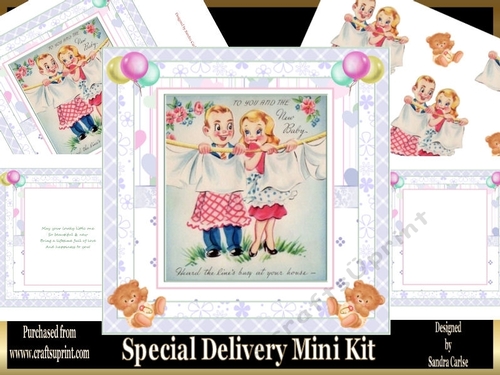 Special Delivery New Baby Mini Kit