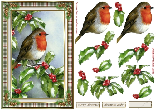 Christmas Robin soft green framed decoupage Topper