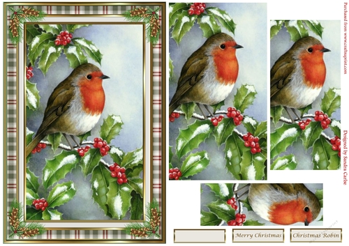 Christmas Robin soft green framed pyramid Topper