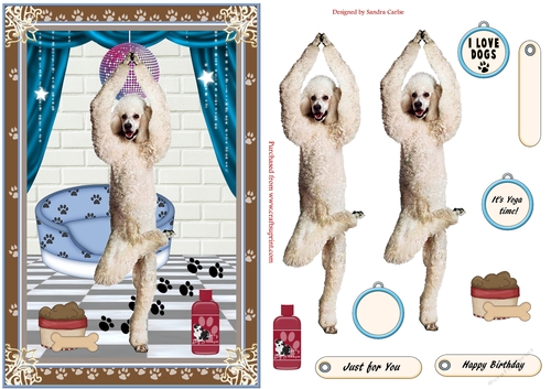 Birthday Keep Fit Dog Decoupage Topper 6