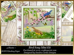 Bird Song Decoupage 8x8ins Mini Kit