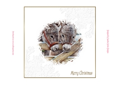 Christmas Donkey 7x7ins Insert 3
