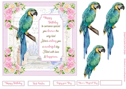 Exotic Bird Decoupage 7x7ins Topper 1