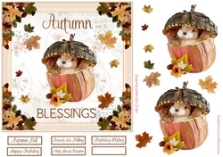 Autumn Blessings Decoupage 7x7ins Topper 9