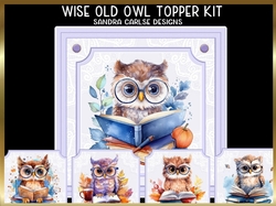 Wise Old Owl 7x7ins x 5 Topper kit