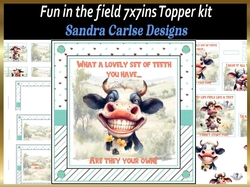 Fun in the field 7x7ins topper kit