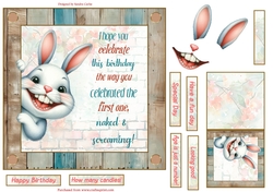 Fun rabbit 7x7ins decoupage topper