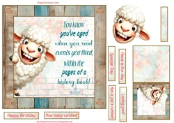 Fun sheep 7x7ins decoupage topper