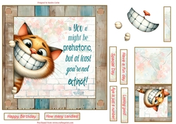 Fun cat 7x7ins decoupage topper