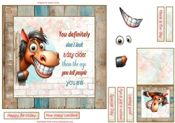 Fun horse 7x7ins decoupage topper
