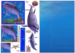 We All Love Dolphins Side Stepper card