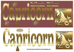 Horoscope Capricorn Large dl Topper