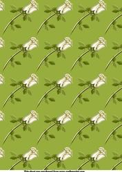 White Roses Backing Paper