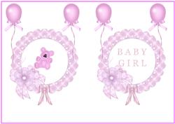 New Baby Girl Insert