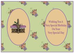 A Birthday Card Insert