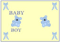 New Baby Boy Insert 1