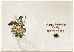 A Fairy Insert