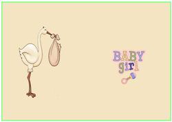 Baby Girl Insert