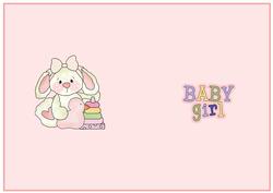 New Baby Insert 1