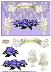 Just Married Envelope Card