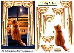 A cute Ginger Cat at the Window Card Front