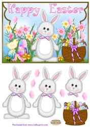 Easter Bunny Envelope Card Front