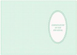 Baby Pastel Green Gingham Insert