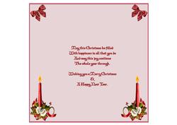 Holly & Berries 7.5 x 7.5ins Insert