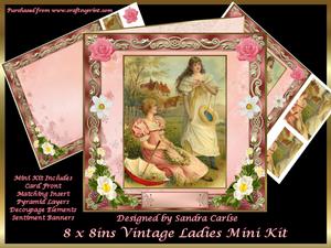 Vintage 8 x 8ins Ladies Mini Kit